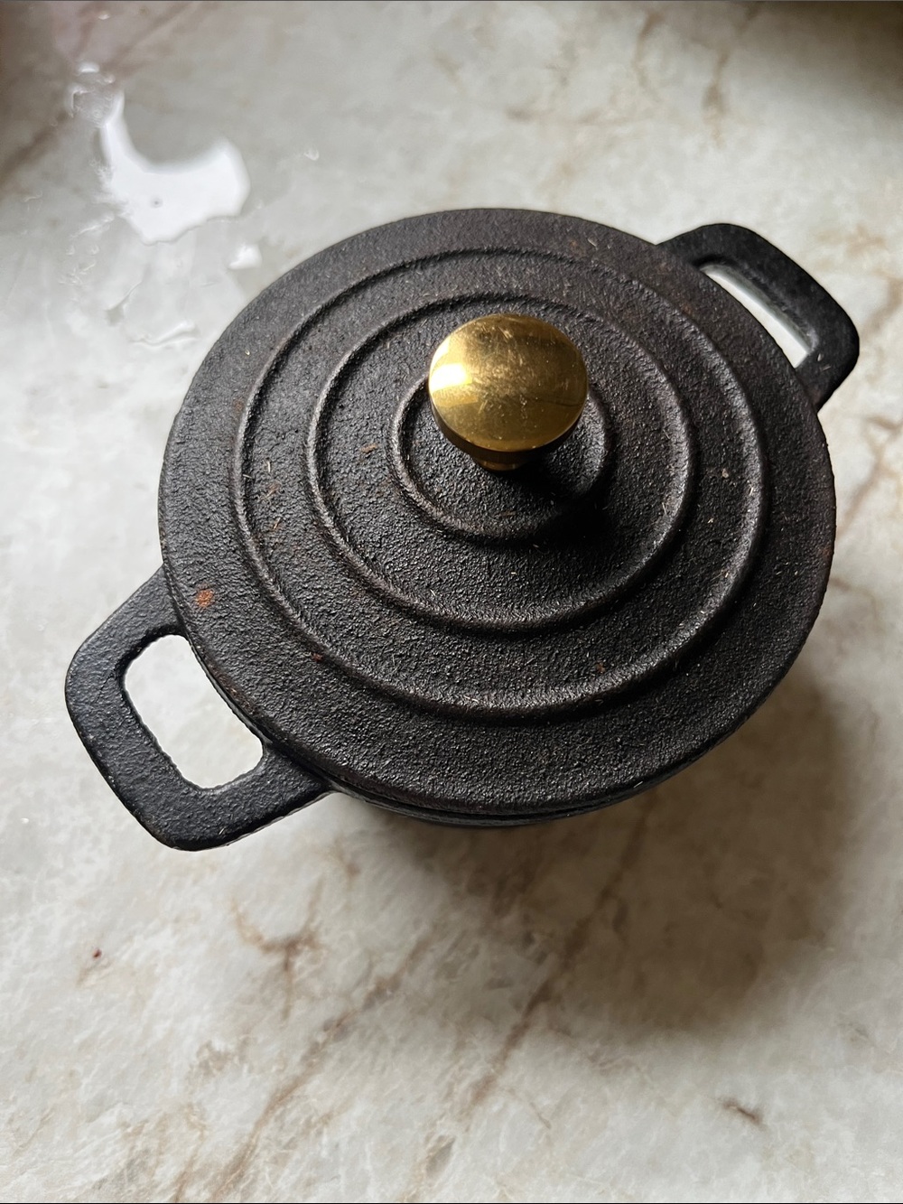 Mini Cast Iron Dutch Oven with Brass-Tone Knob - Black